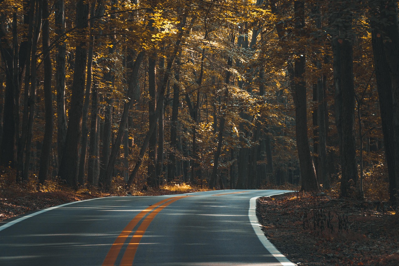 Fast Setup: Installing the Jeetwin App on Android or iPhone