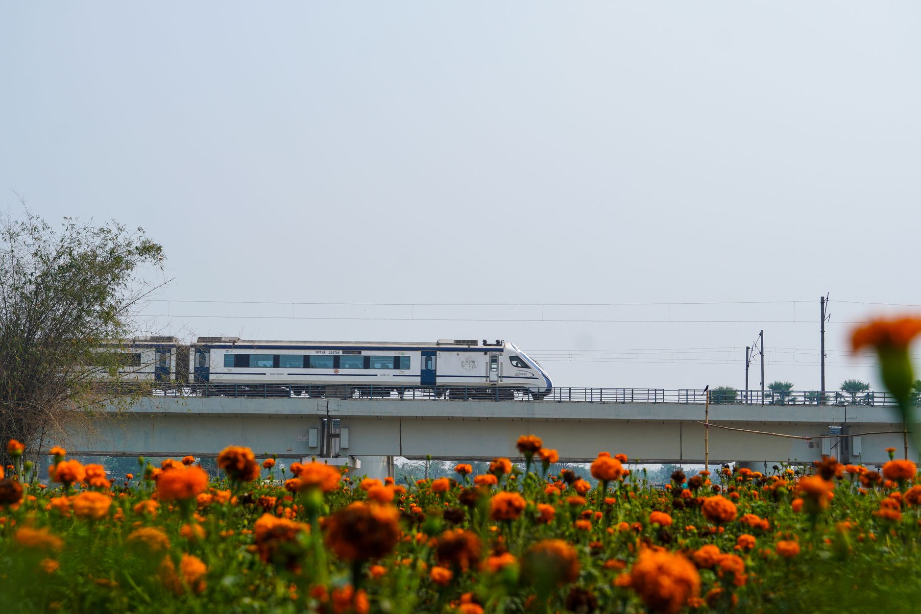 Delhi Patna Vande Bharat: The Best Travel Option for Diwali