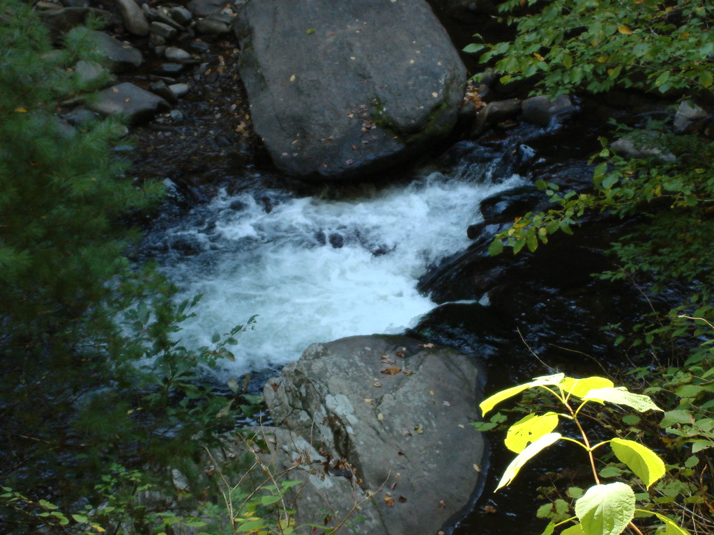 Great Smoky Mountains Trail Reopens: A Safe and Clear Route