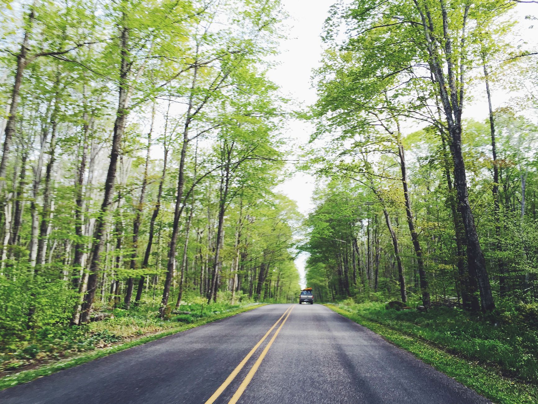 Longhouse Scenic Drive: Best Proven Route for Fall Travelers