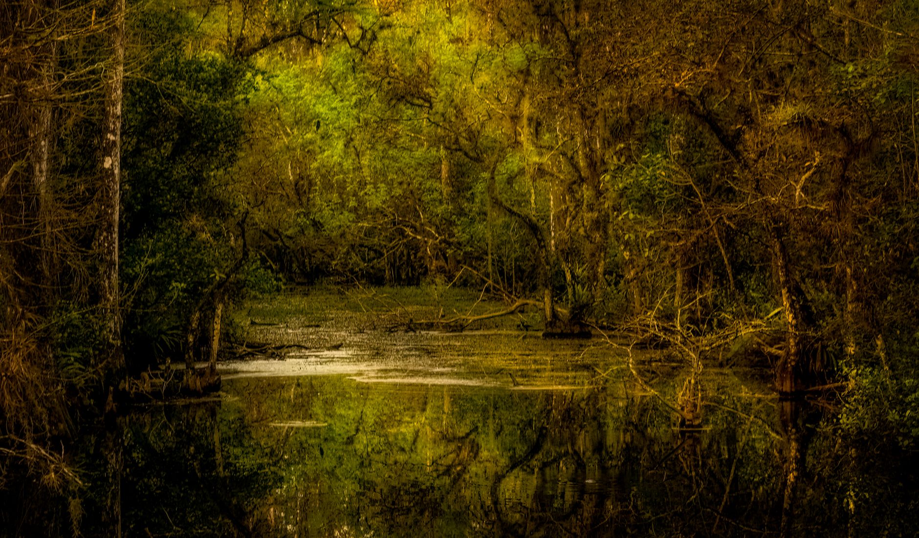 Tiana’s Bayou Adventure Closing: What You Need to Know